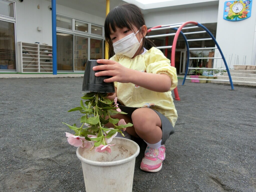 花を植える園児たち