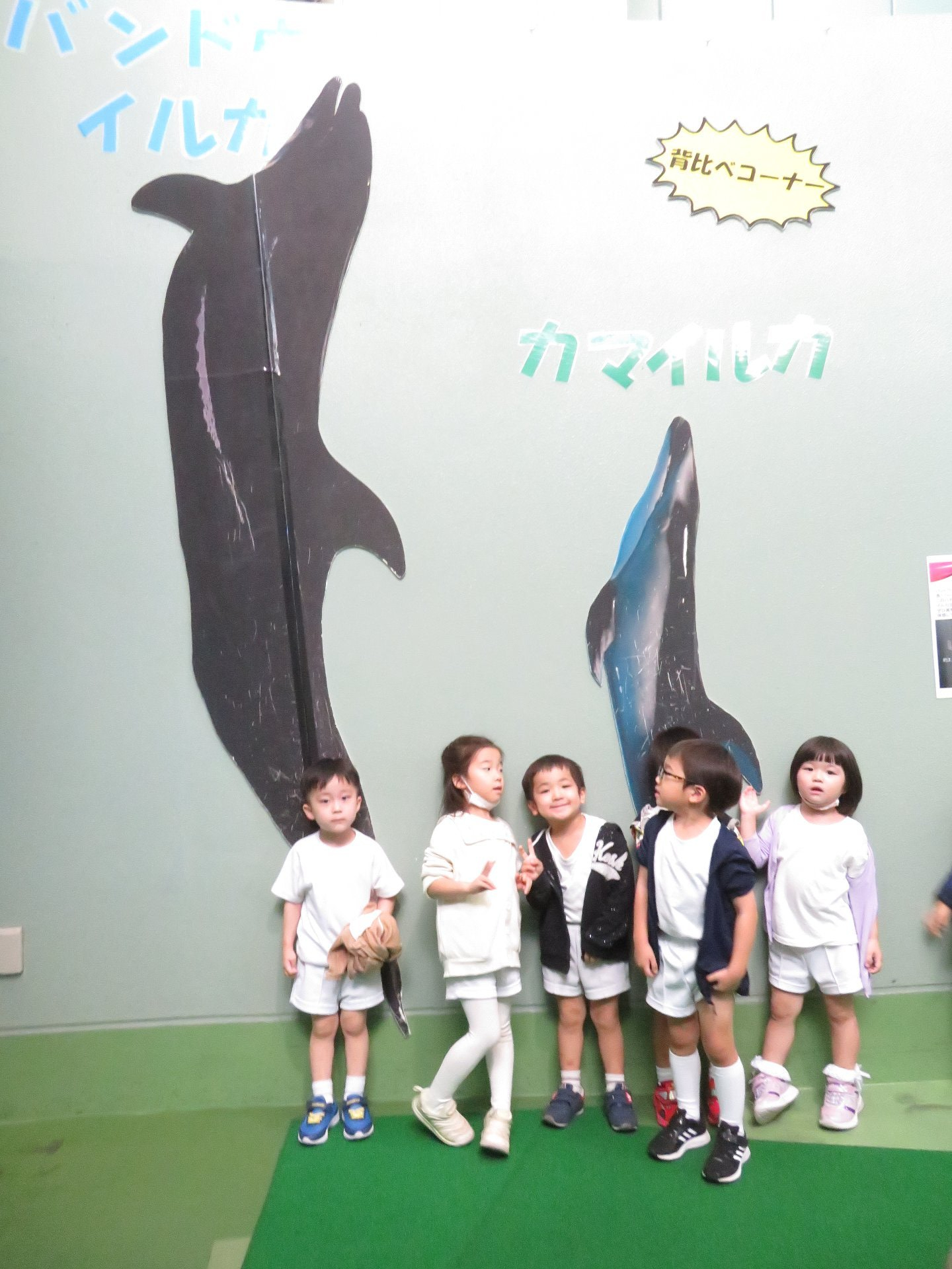 イルカと背比べする園児たち
