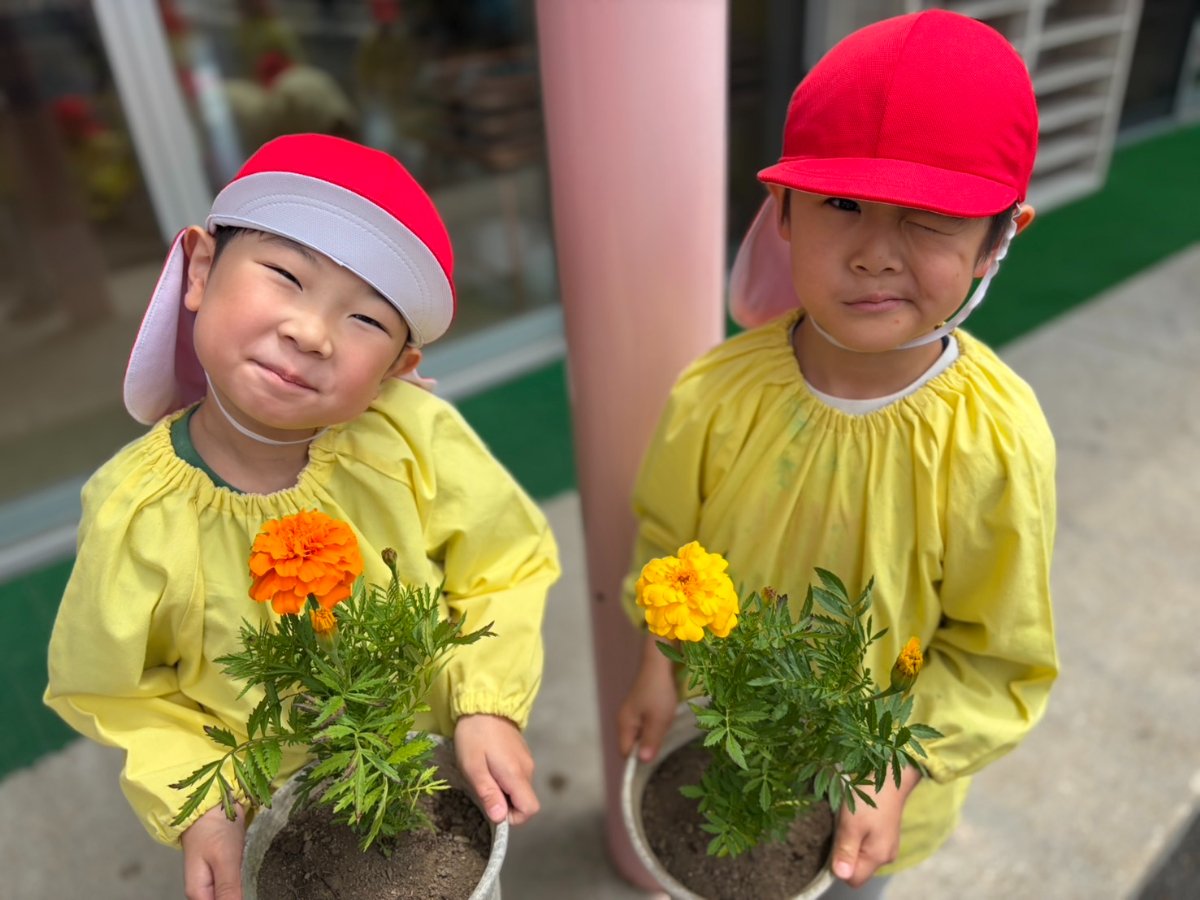花育