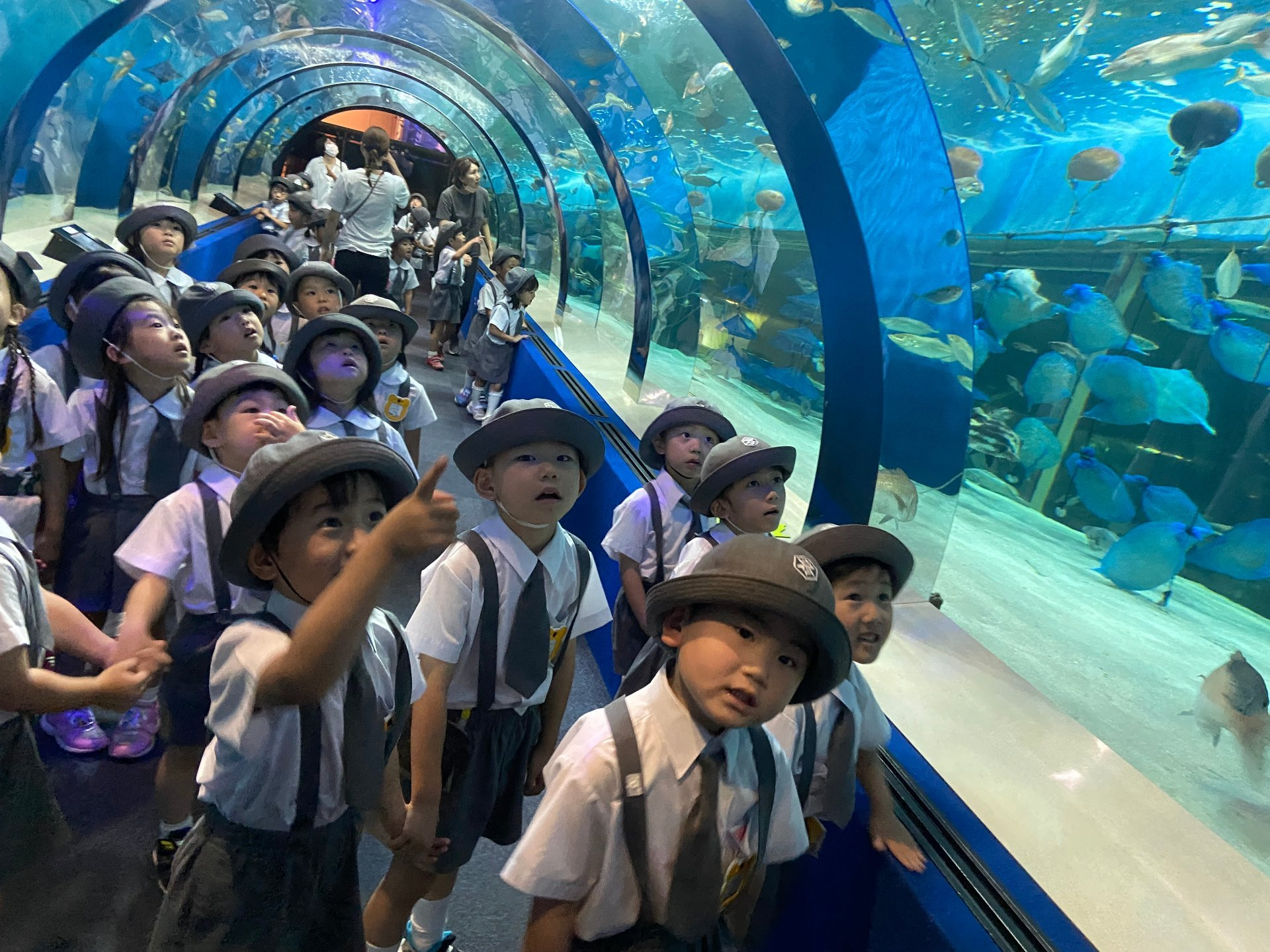 水族館を満喫する園児たち