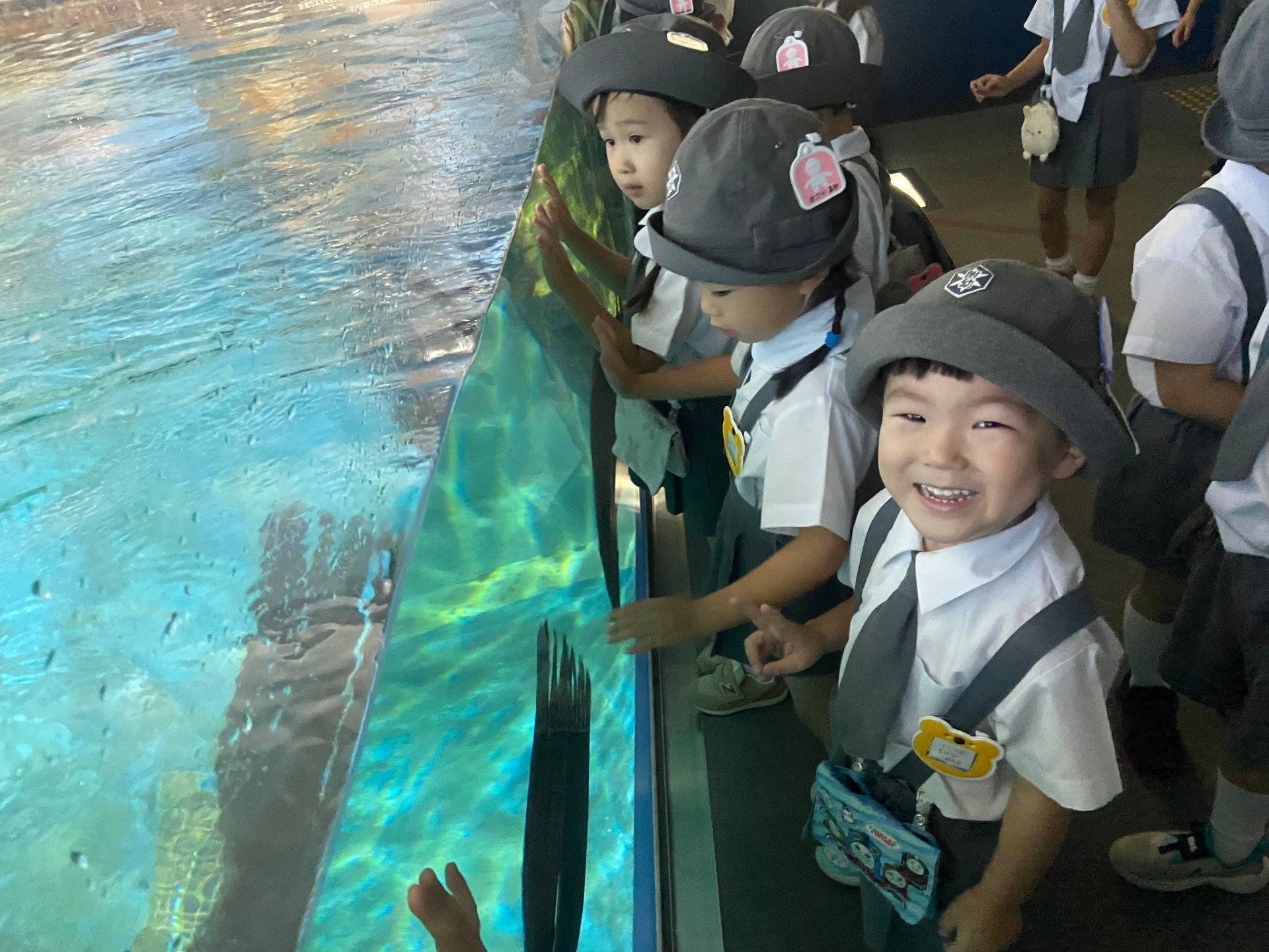 水族館を満喫する園児たち