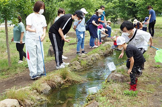 2020年8月1日、ビオトープ公開講座「ビオトープで遊ぼう」が青森中央短期大学のビオトープで行われました