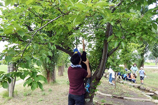 幼児保育学科の学生9名がサポーターで参加し、応募した9組の親子の遊び体験をサポートしました