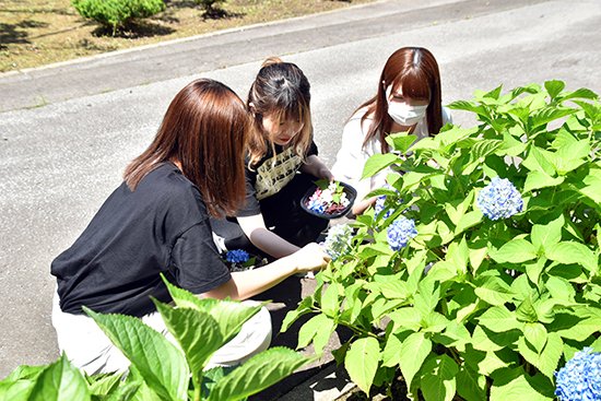 幼児保育学科の学生たちは、いろいろな草花や樹の実を集めて思い思いの「森のお弁当」を作りました