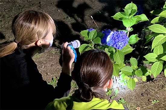 １時間ほどかけて幼虫から脱皮し、羽をひろげる神秘的な光景に皆さん釘付でした