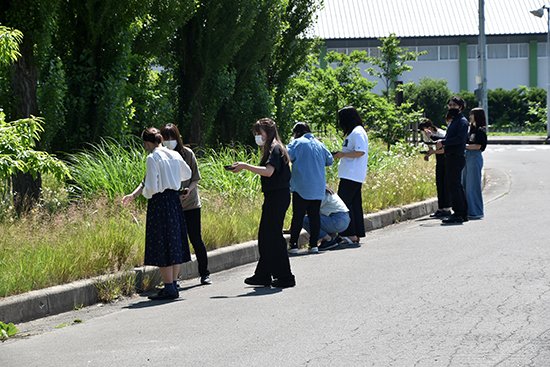 幼児保育学科の学生たちは、いろいろな草花や樹の実を集めて思い思いの「森のお弁当」を作りました