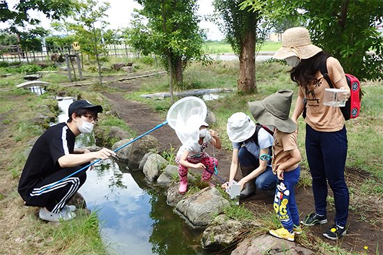 講座では、「こども環境管理士」の認定を受けている幼稚園教諭指導のもと、学生たちはビオトープの生き物を探すお手伝いをしたり、学生手作りのビオトープ紙芝居の読み聞かせを行いました