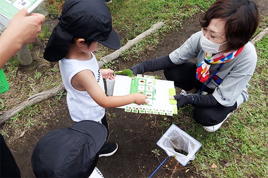 講座では、「こども環境管理士」の認定を受けている幼稚園教諭指導のもと、学生たちはビオトープの生き物を探すお手伝いをしたり、学生手作りのビオトープ紙芝居の読み聞かせを行いました