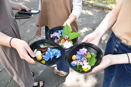 幼児保育学科の学生たちは、いろいろな草花や樹の実を集めて思い思いの「森のお弁当」を作りました