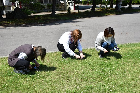 幼児保育学科の学生たちは、いろいろな草花や樹の実を集めて思い思いの「森のお弁当」を作りました