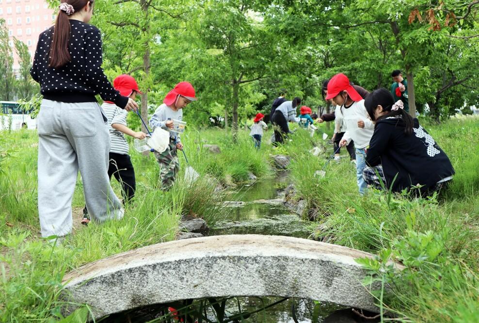 ビオトープサークルが附属幼稚園との合同保育を実施しました（5/21）