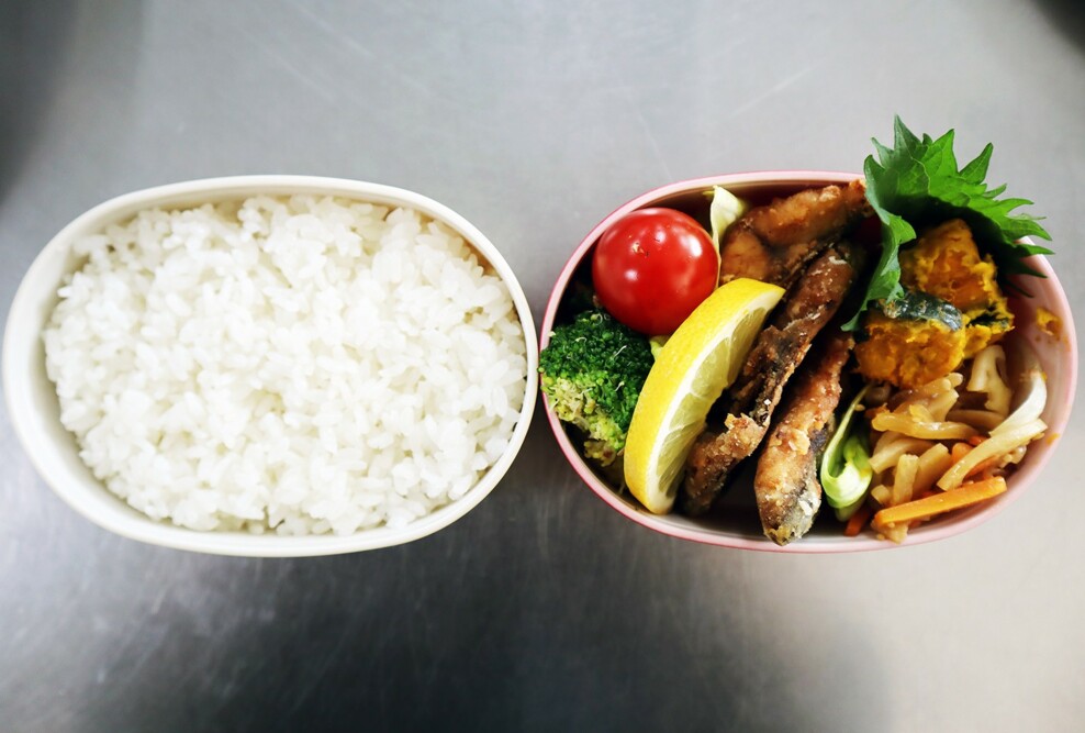 「食事計画論」ごはんの適量を学ぶ「3・1・2弁当箱法」を体験しました