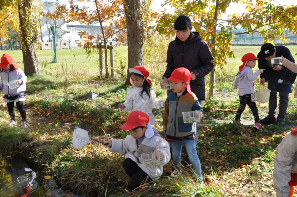 ビオトープサークルが附属幼稚園との合同保育を実施しました（11/9）