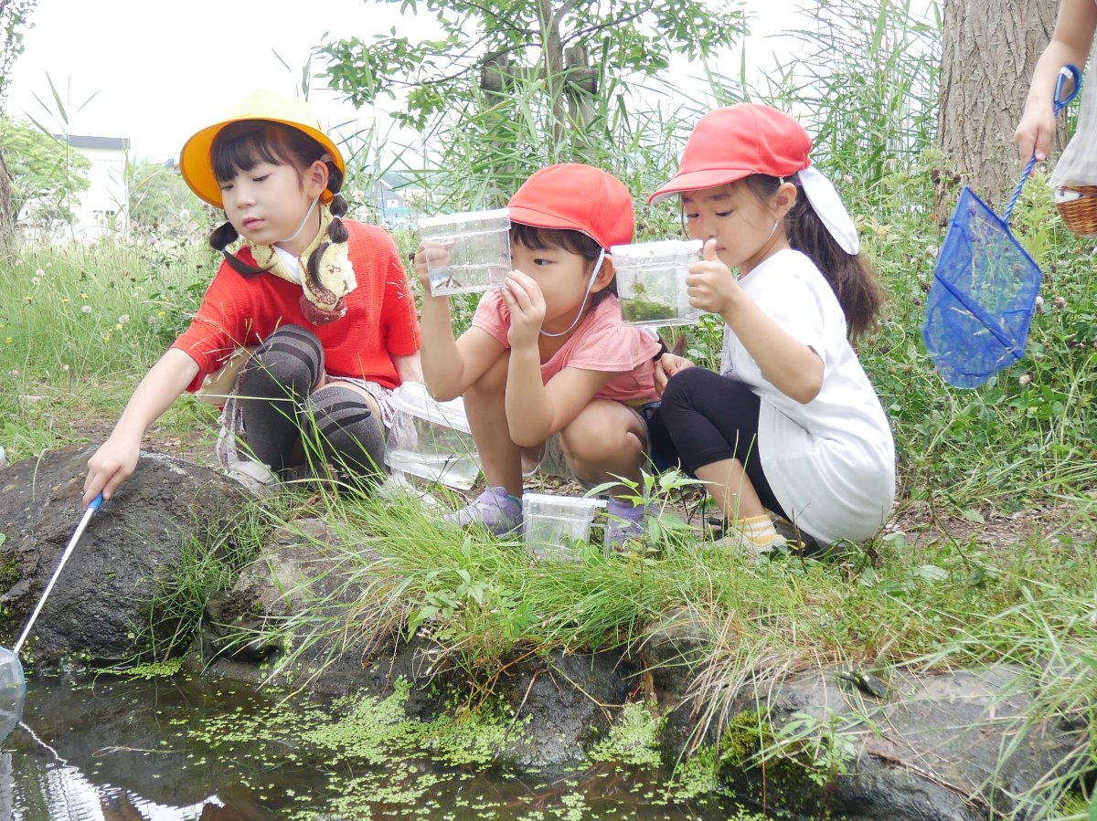 横内小1年生とビオトープで交流会～幼保小連携架け橋プログラム～