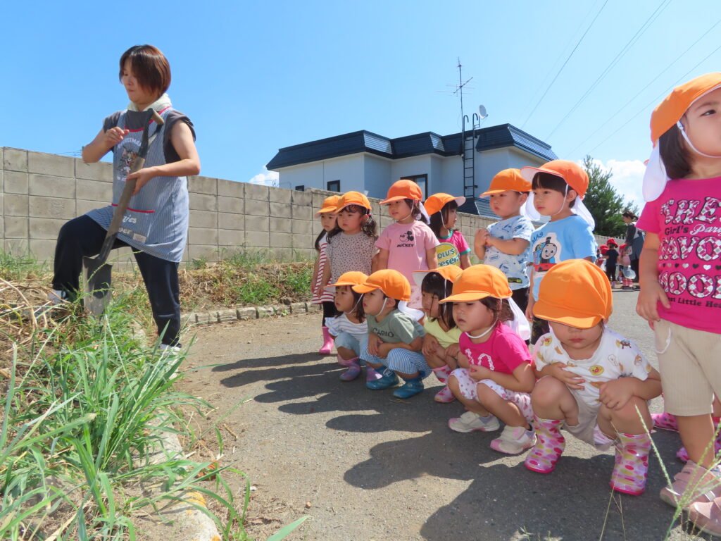 おいもほり