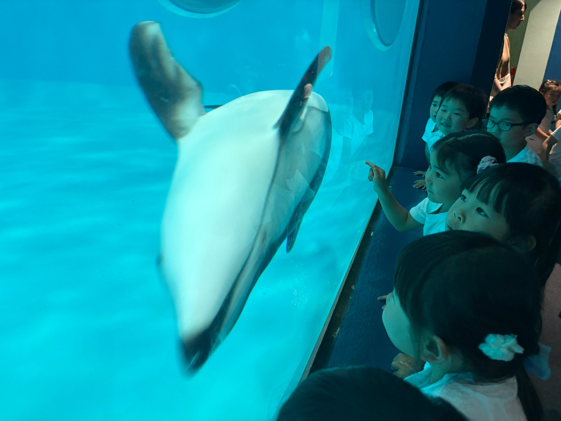 ☆水族館見学☆