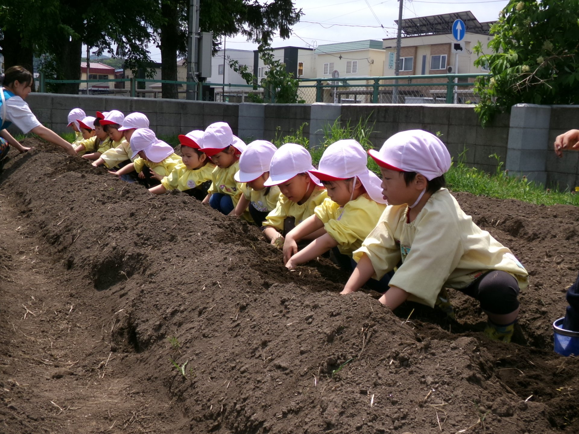 いもうえ☀