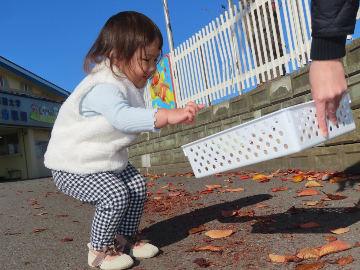 親子体験④　木の実で遊ぼう♪