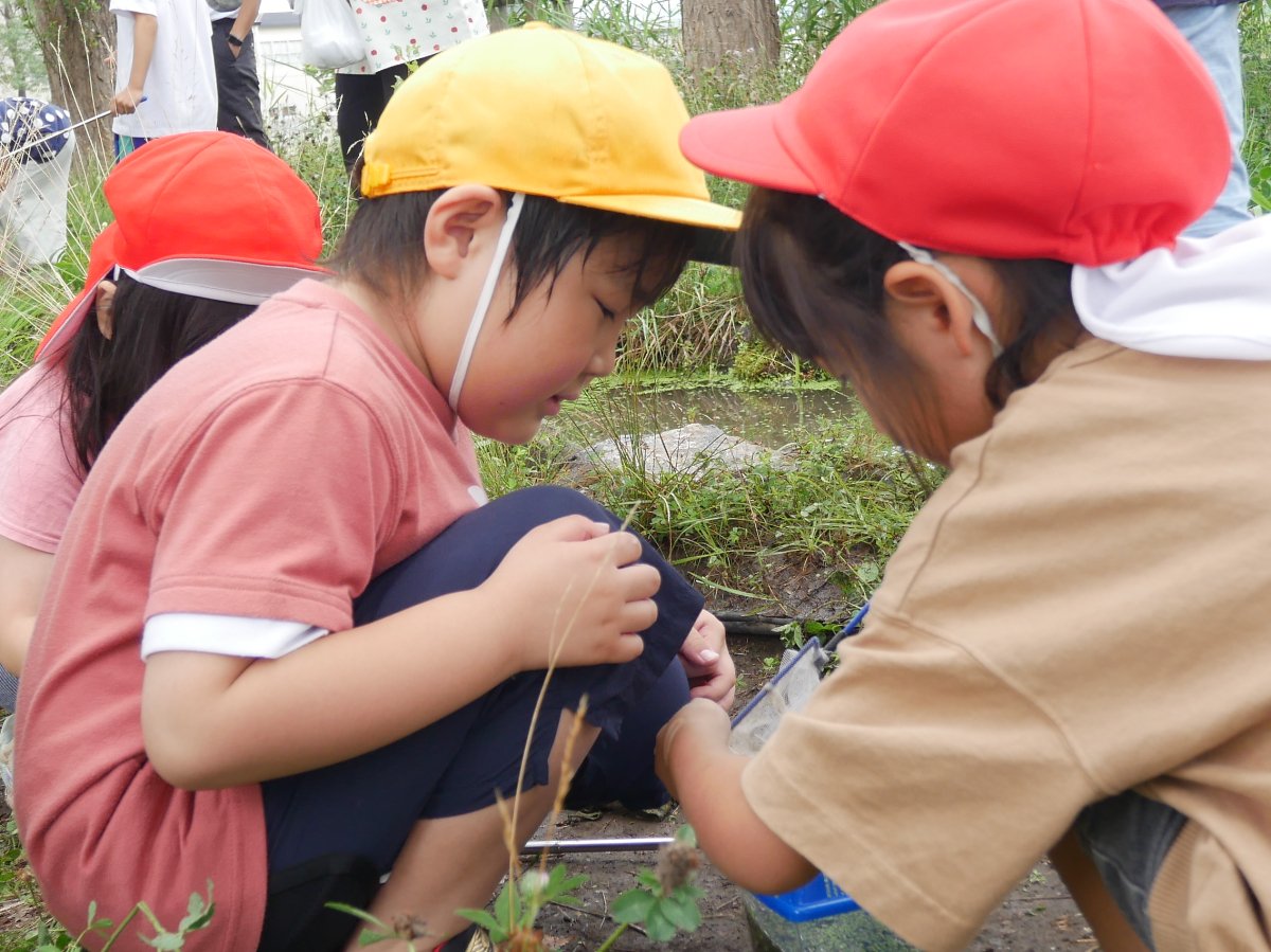 横内小1年生とビオトープで交流会～幼保小連携架け橋プログラム～