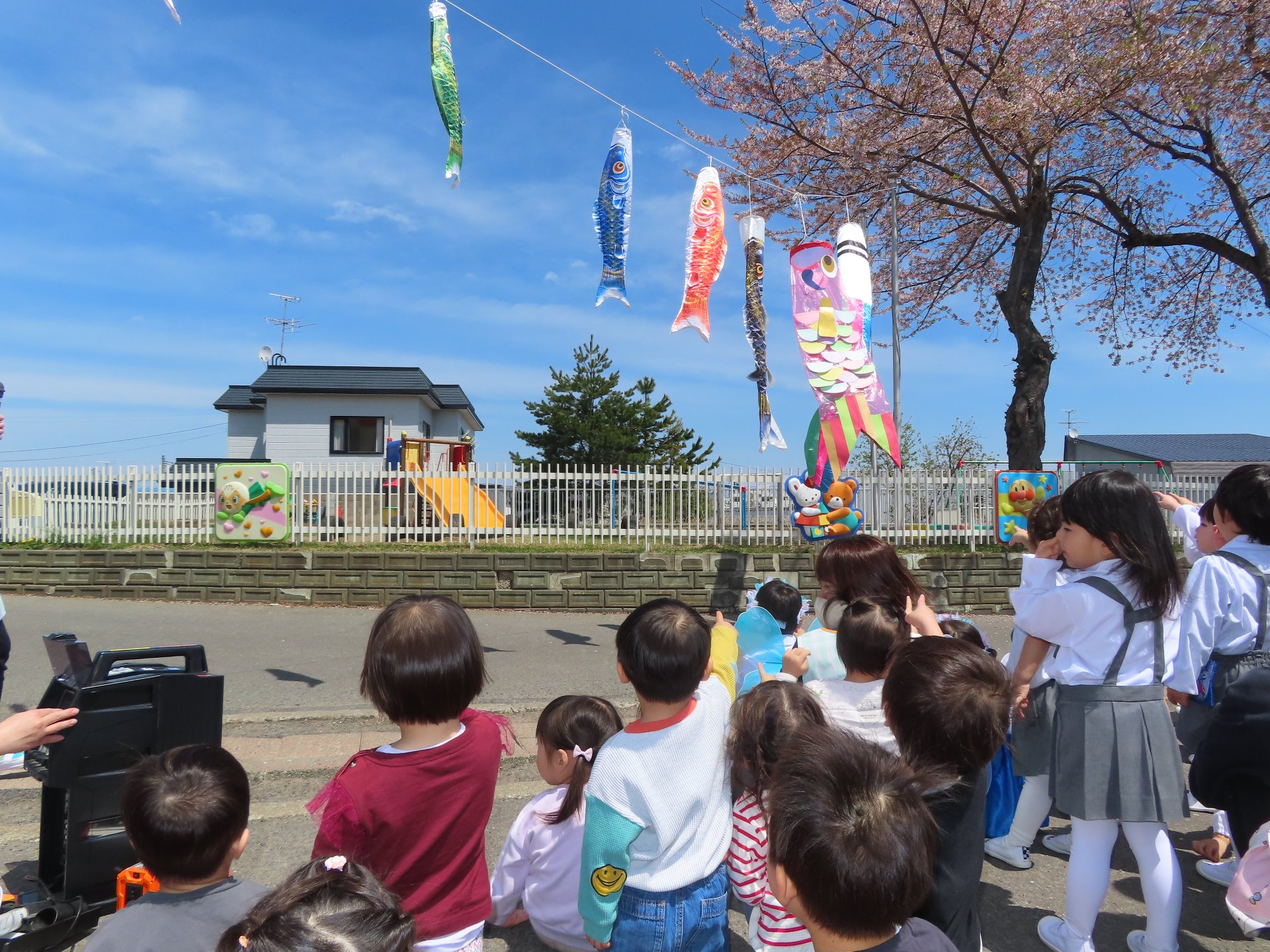 ５月★こいのぼり誕生会