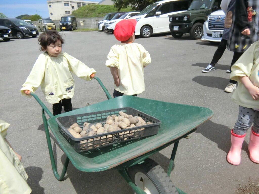 いもうえの準備をする園児たち