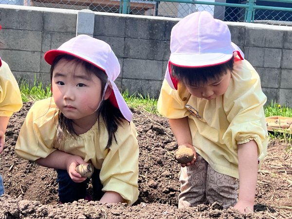 いもうえ