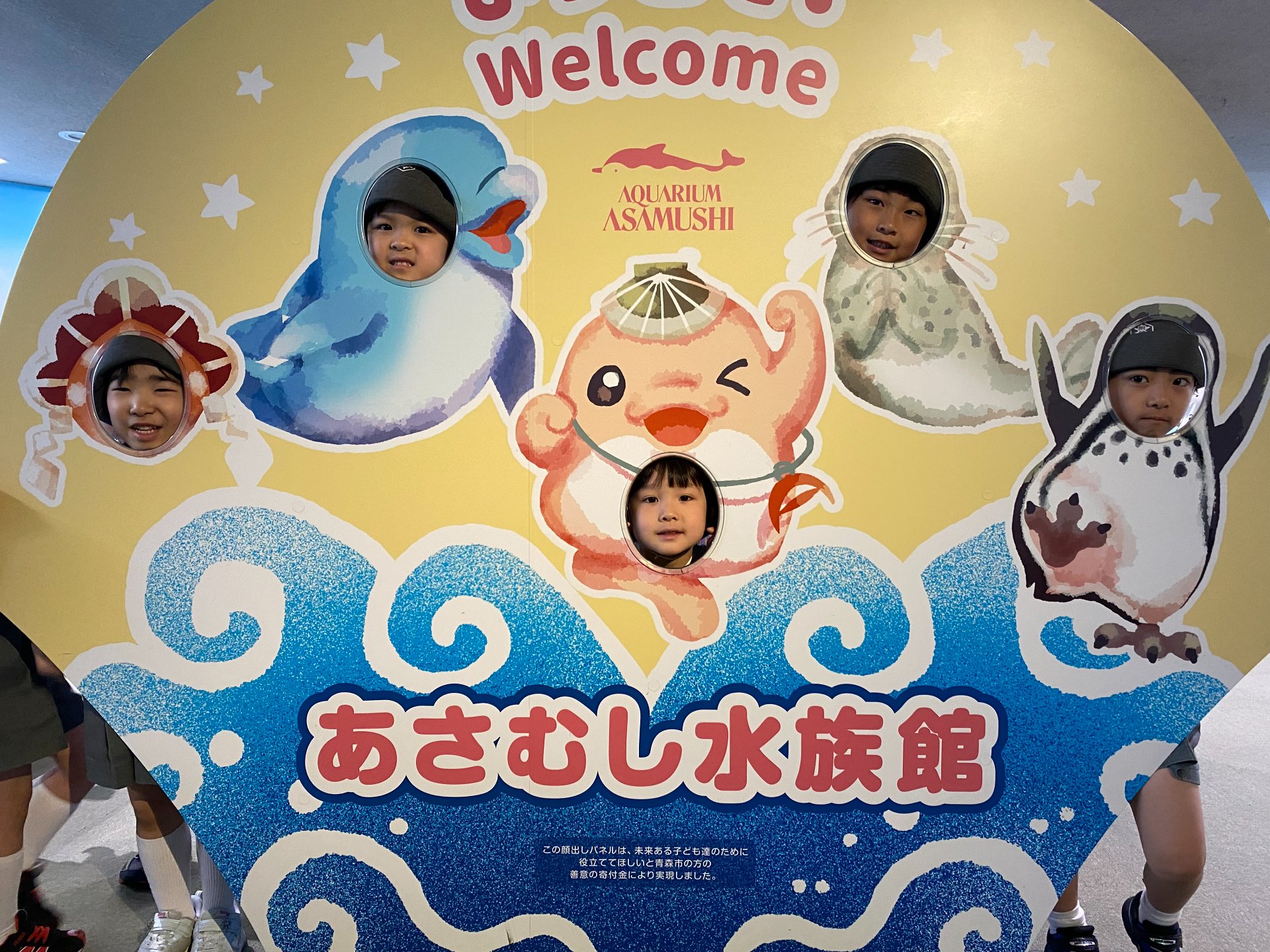 ○o。.水族館見学.。o○