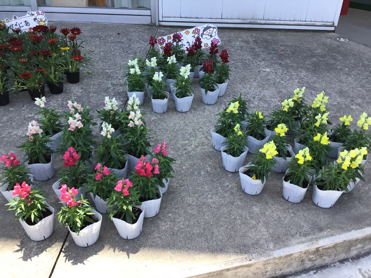 花育
