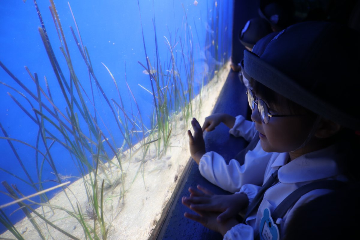 ★水族館見学★