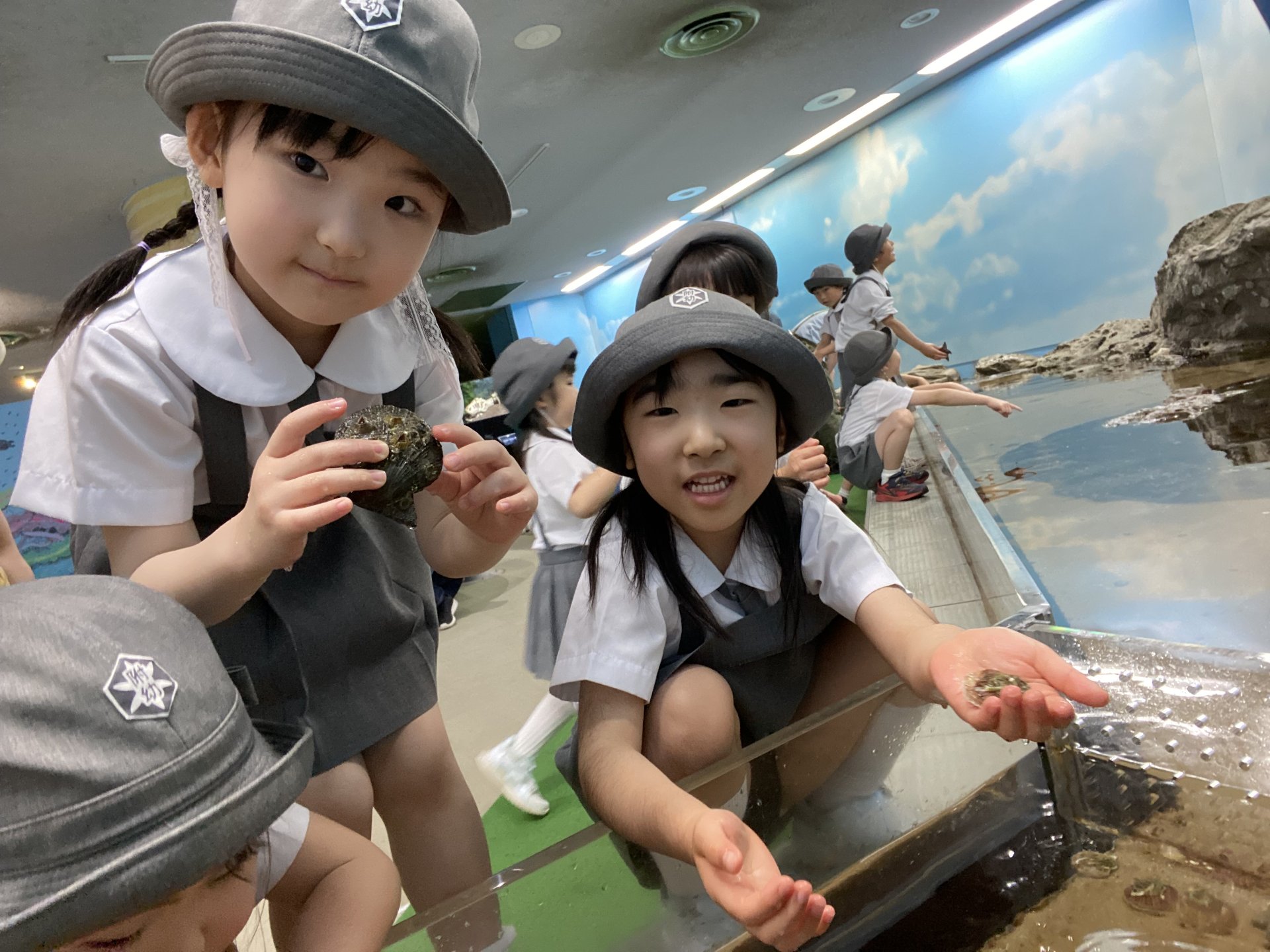 ○o。.水族館見学.。o○