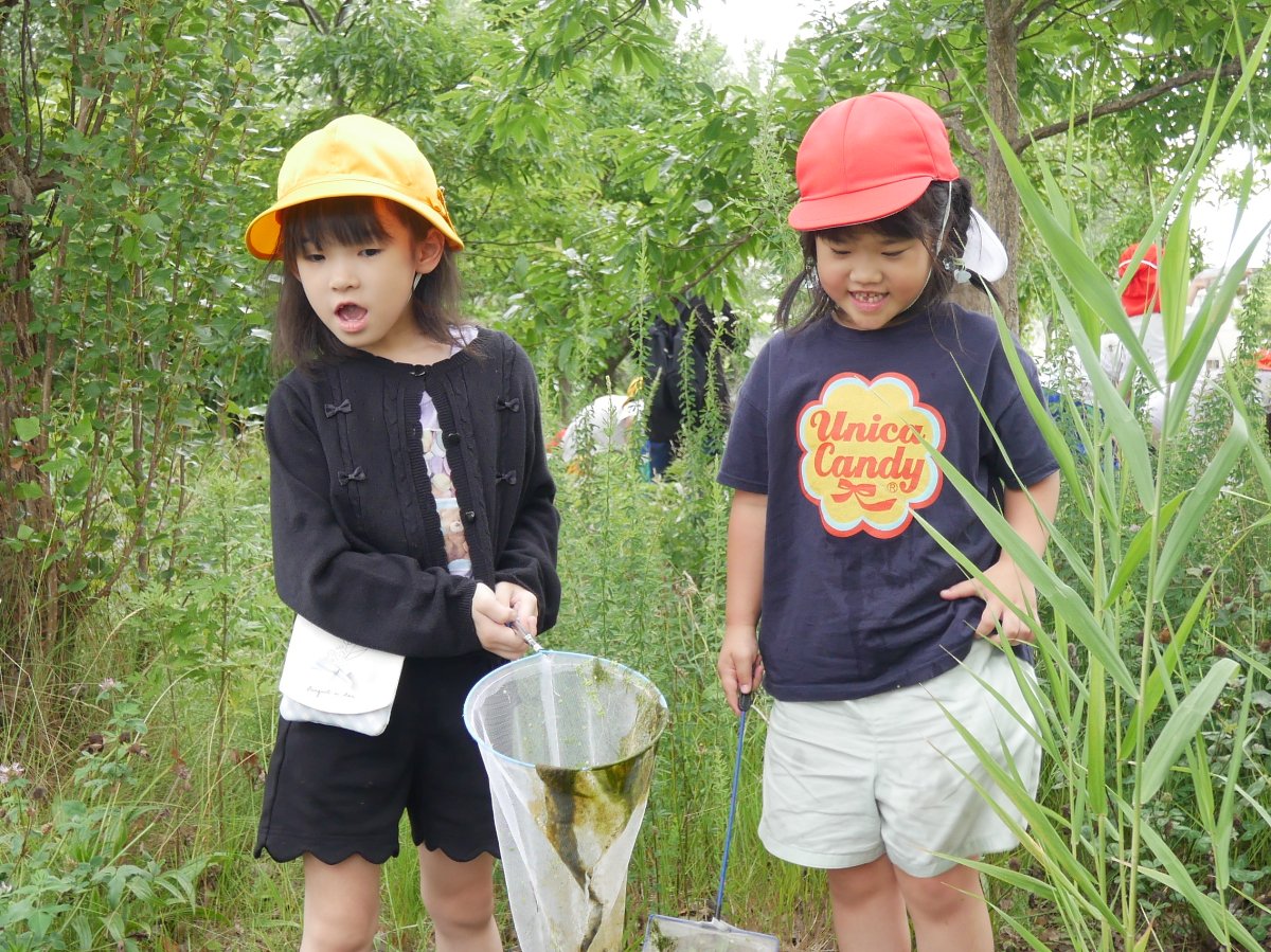横内小1年生とビオトープで交流会～幼保小連携架け橋プログラム～