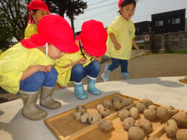 いもうえ