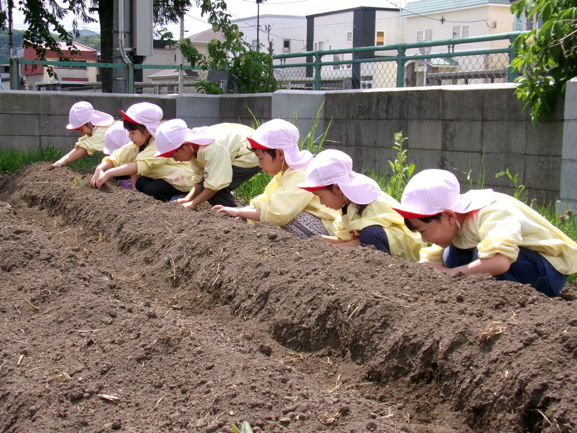 いもうえ☀