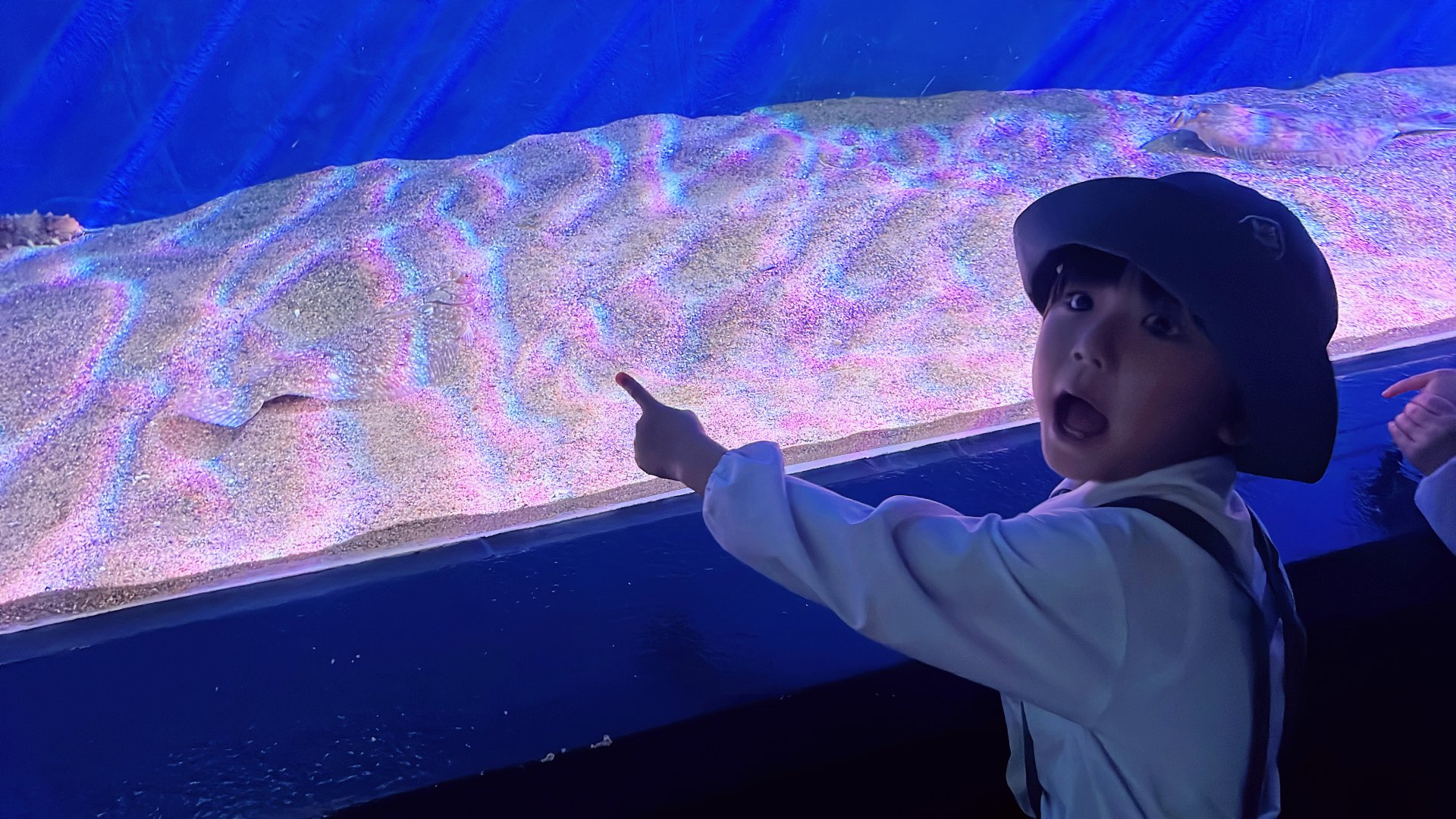 ○o。.水族館見学.。o○