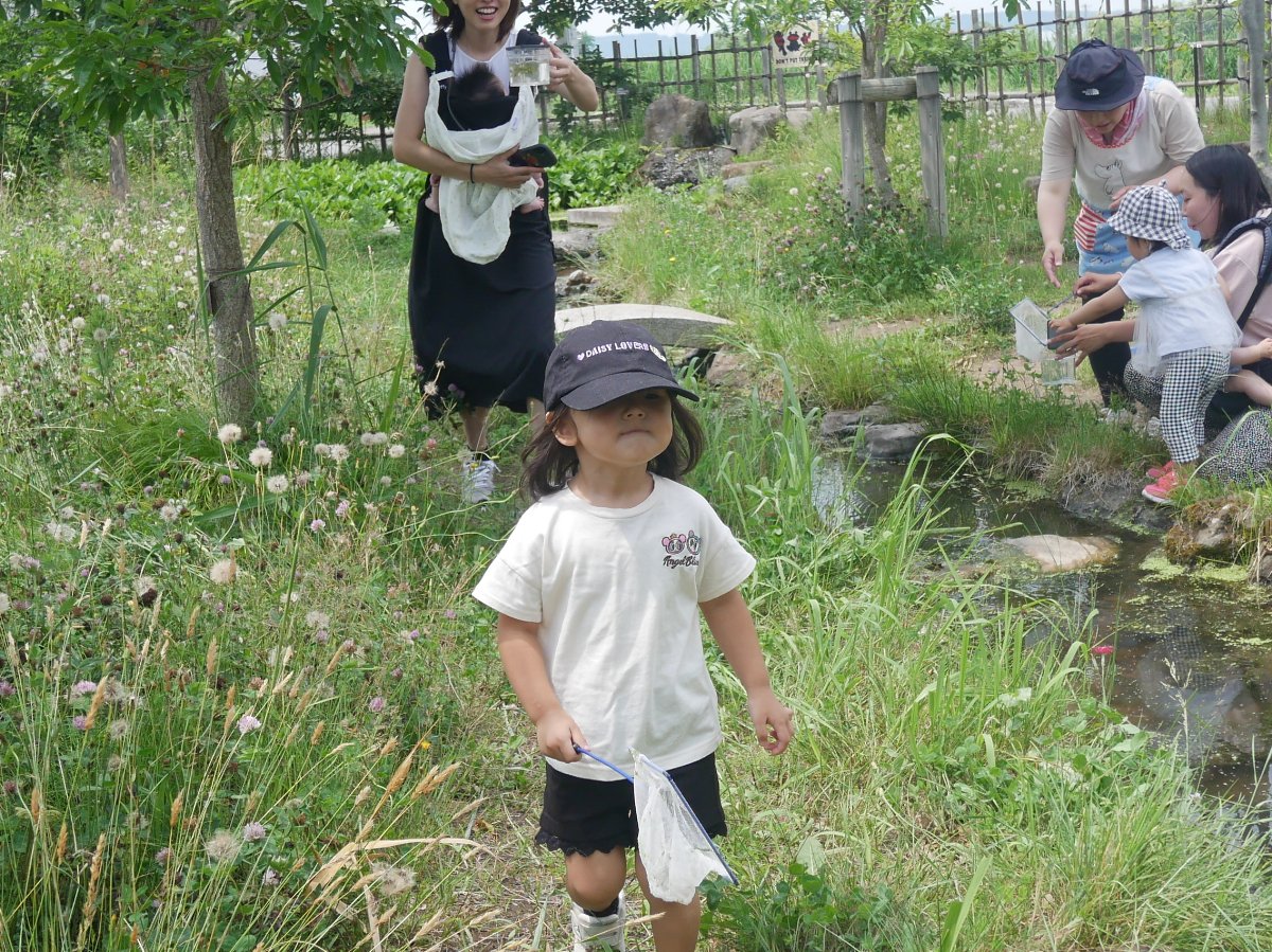 親子で遊ぼう
