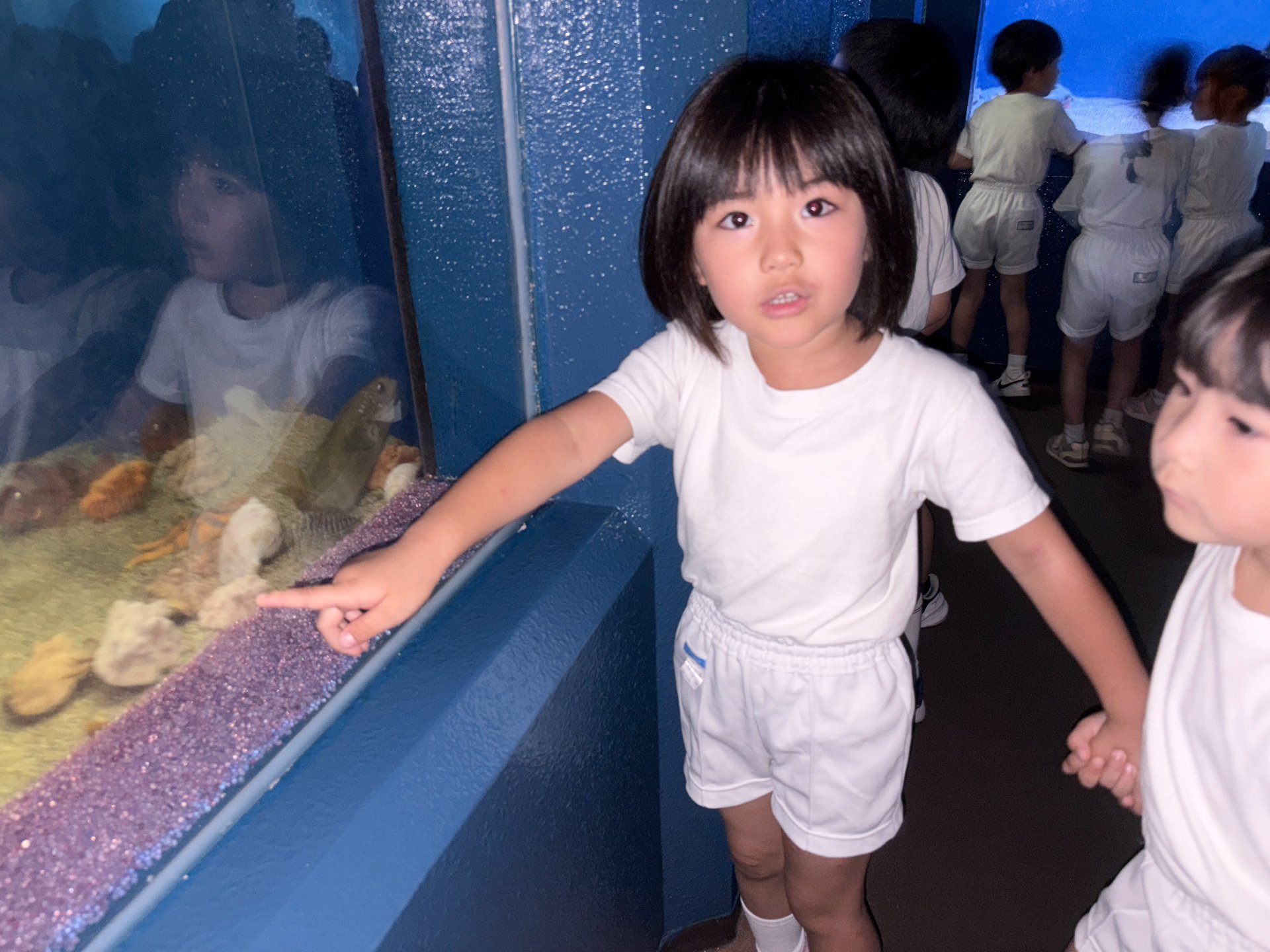 ☆水族館見学☆