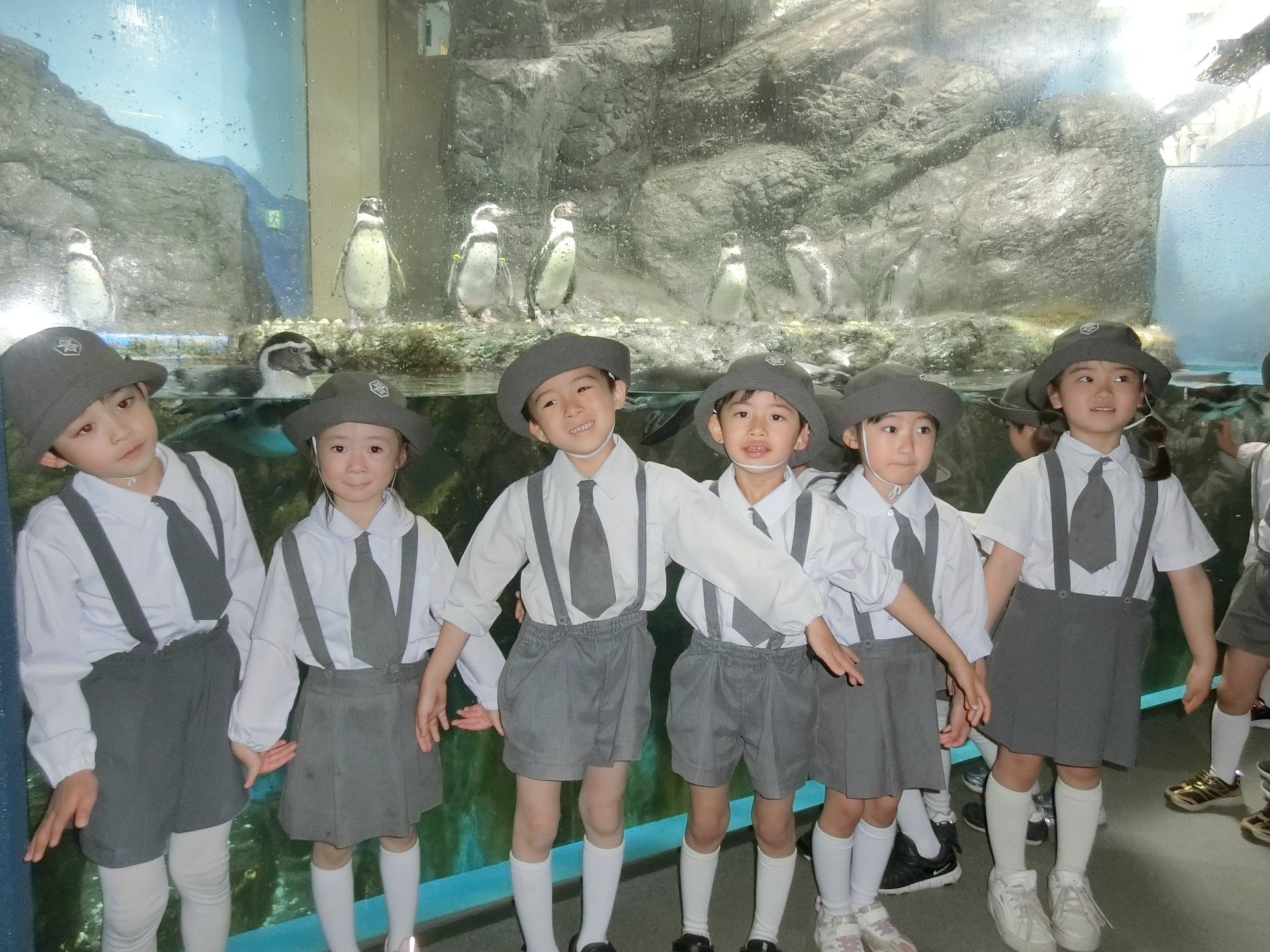 水族館見学