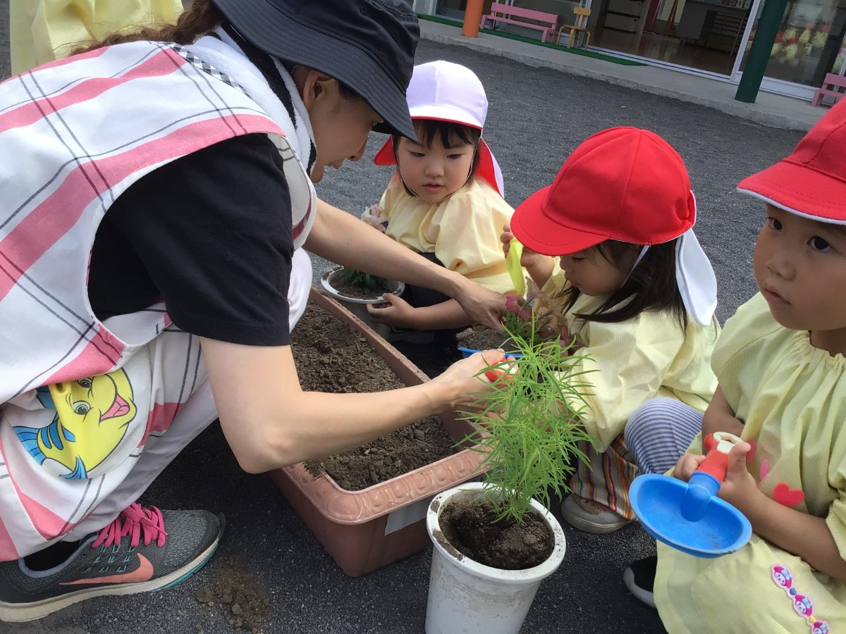 花育