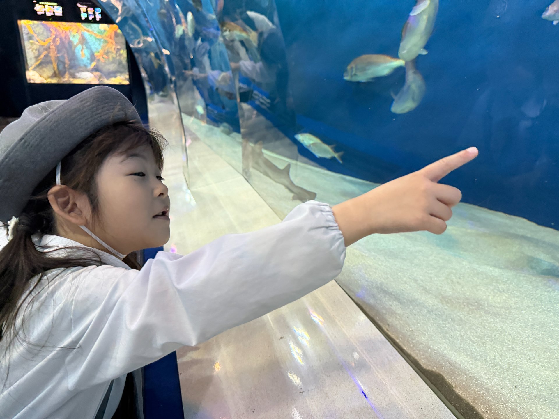 ☆水族館見学☆