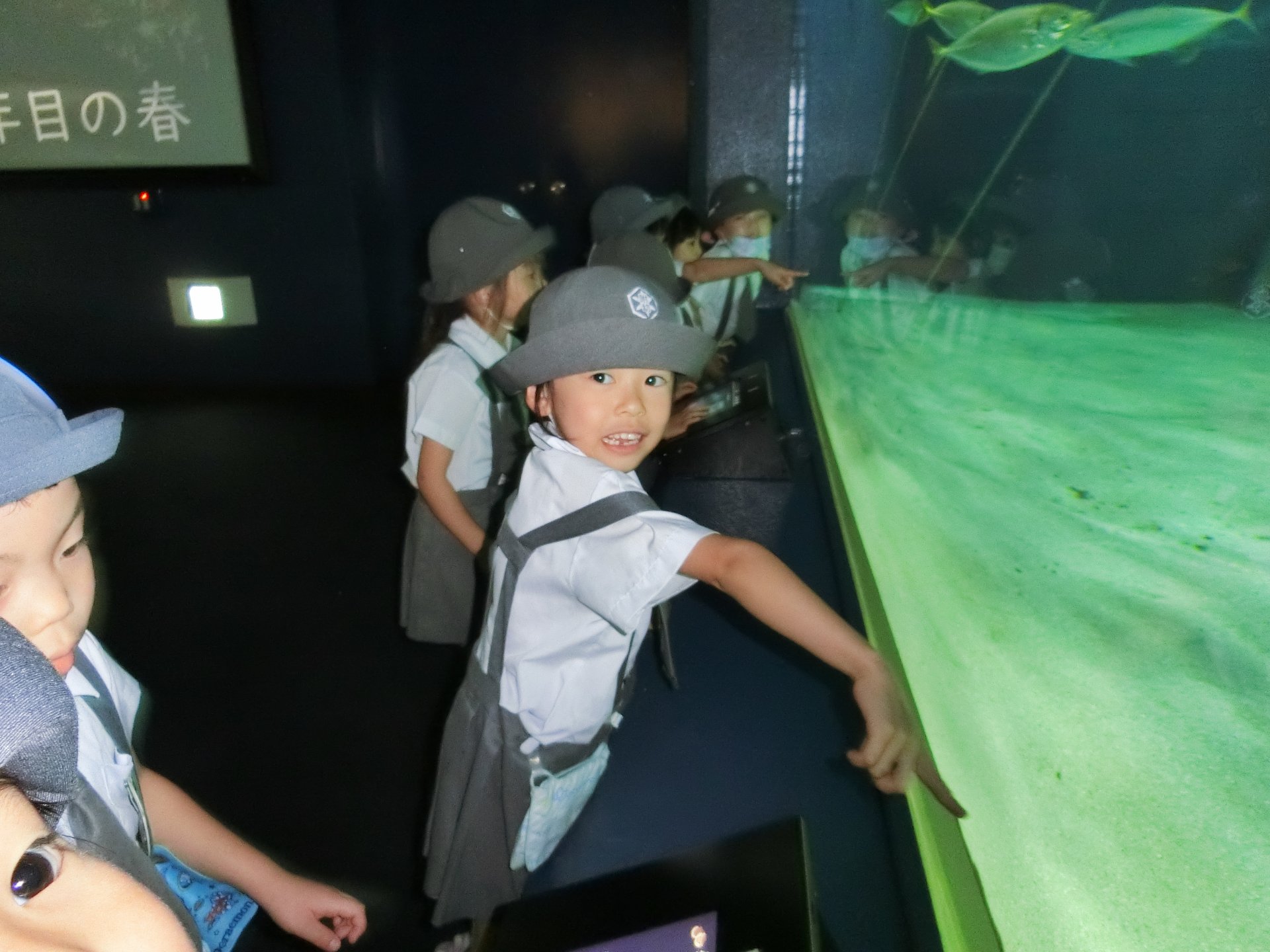 水族館を満喫する園児たち