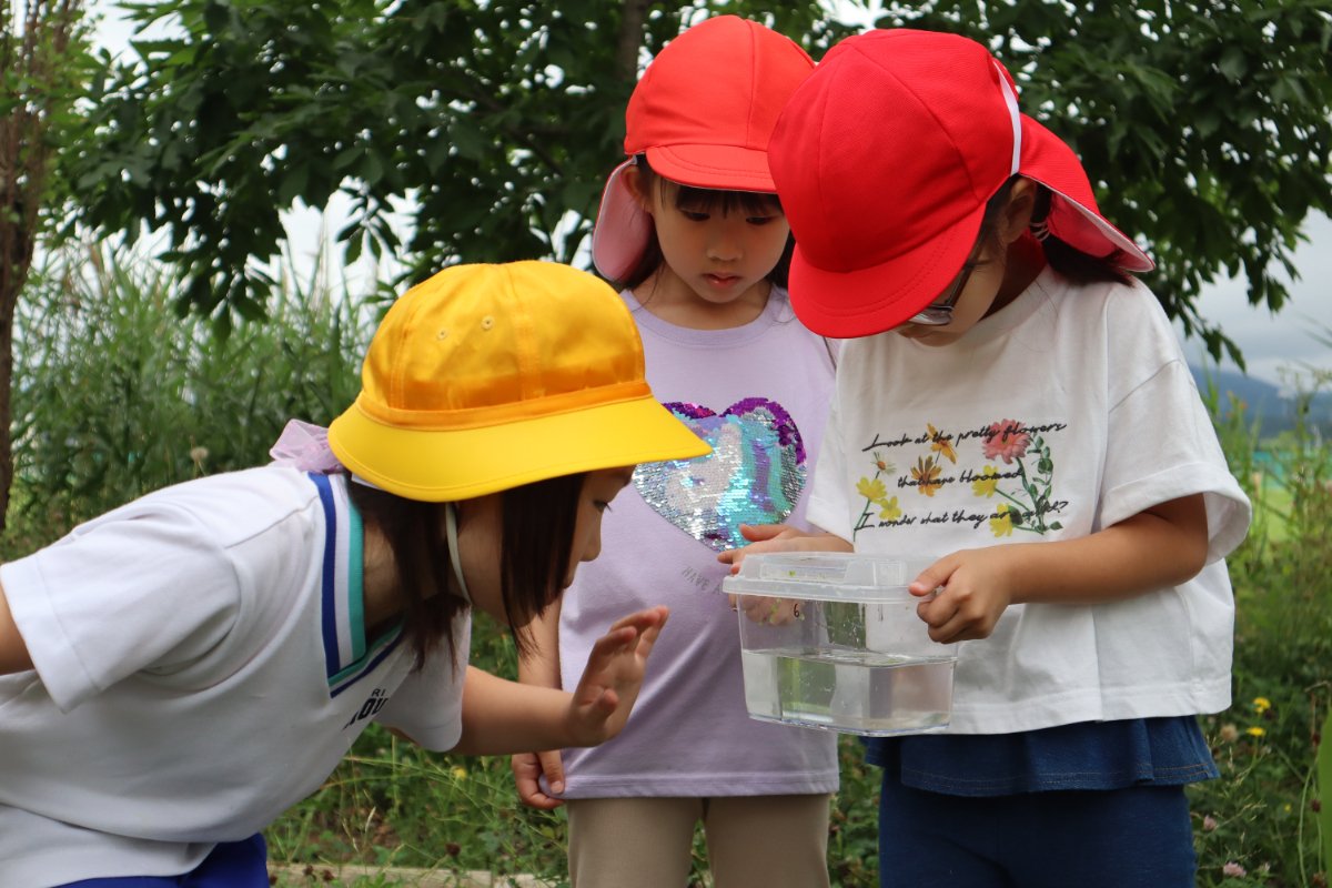 横内小1年生とビオトープで交流会～幼保小連携架け橋プログラム～