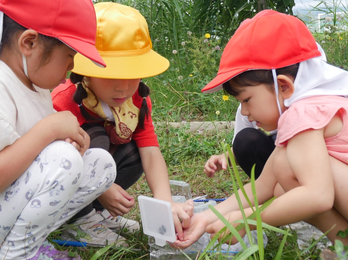 横内小1年生とビオトープで交流会～幼保小連携架け橋プログラム～