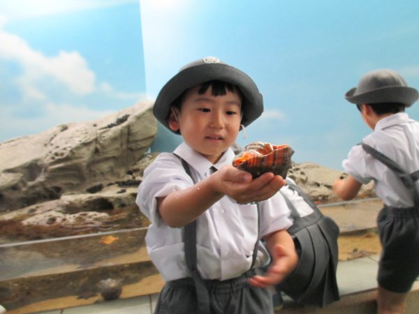 水族館見学
