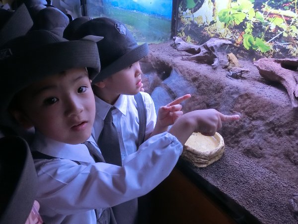 水族館見学