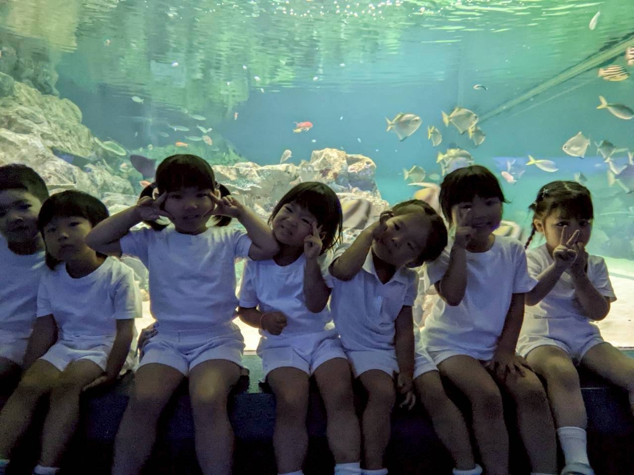 ☆水族館見学☆