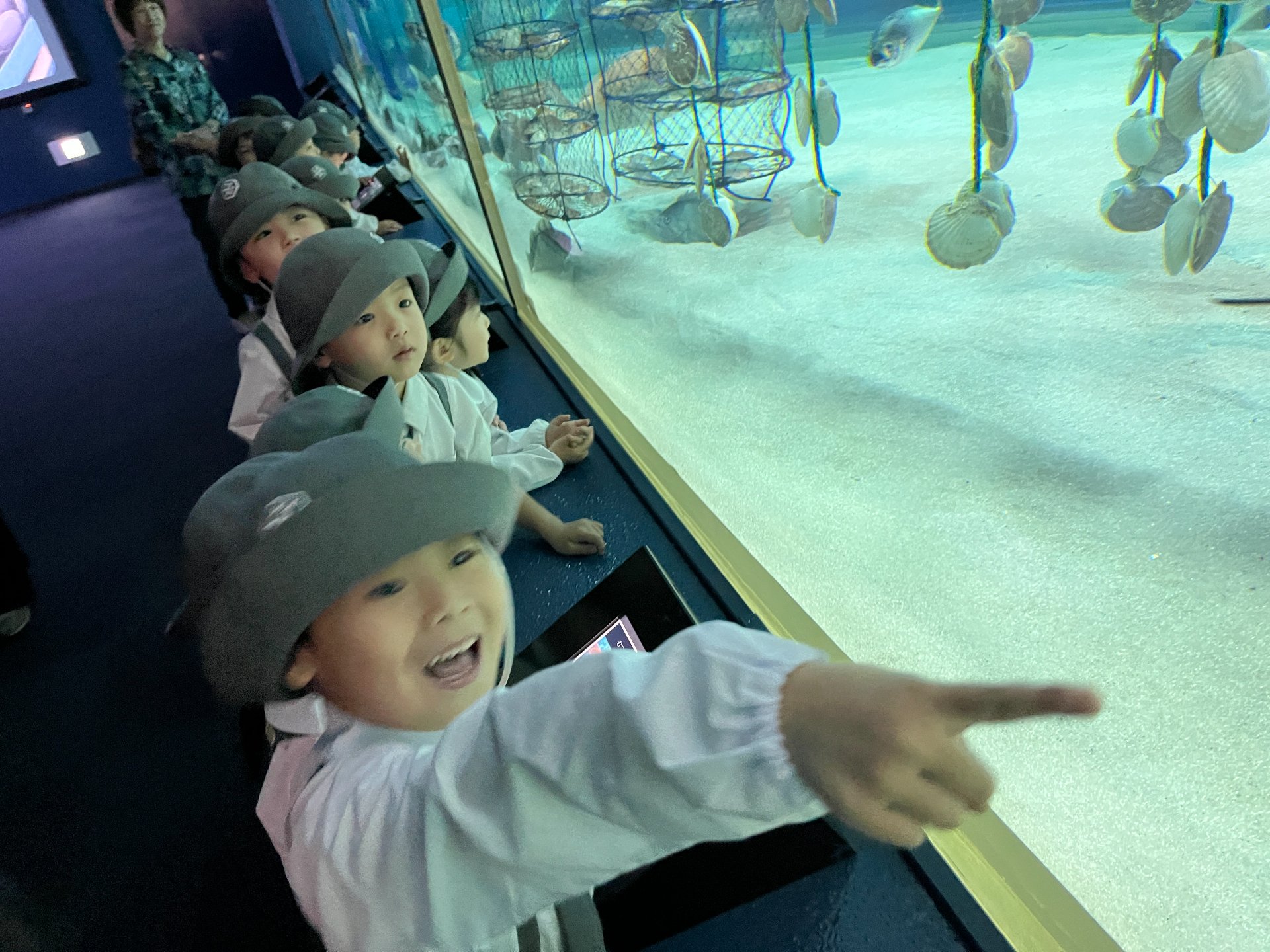 ☆水族館見学☆