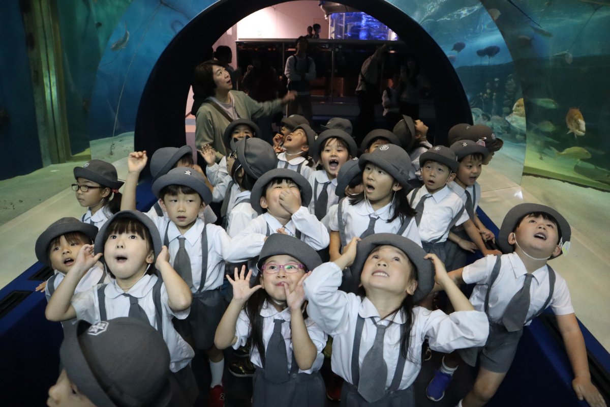 ★水族館見学★