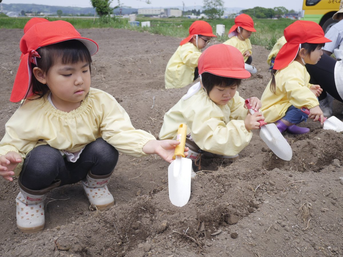 じゃがいも植え！！