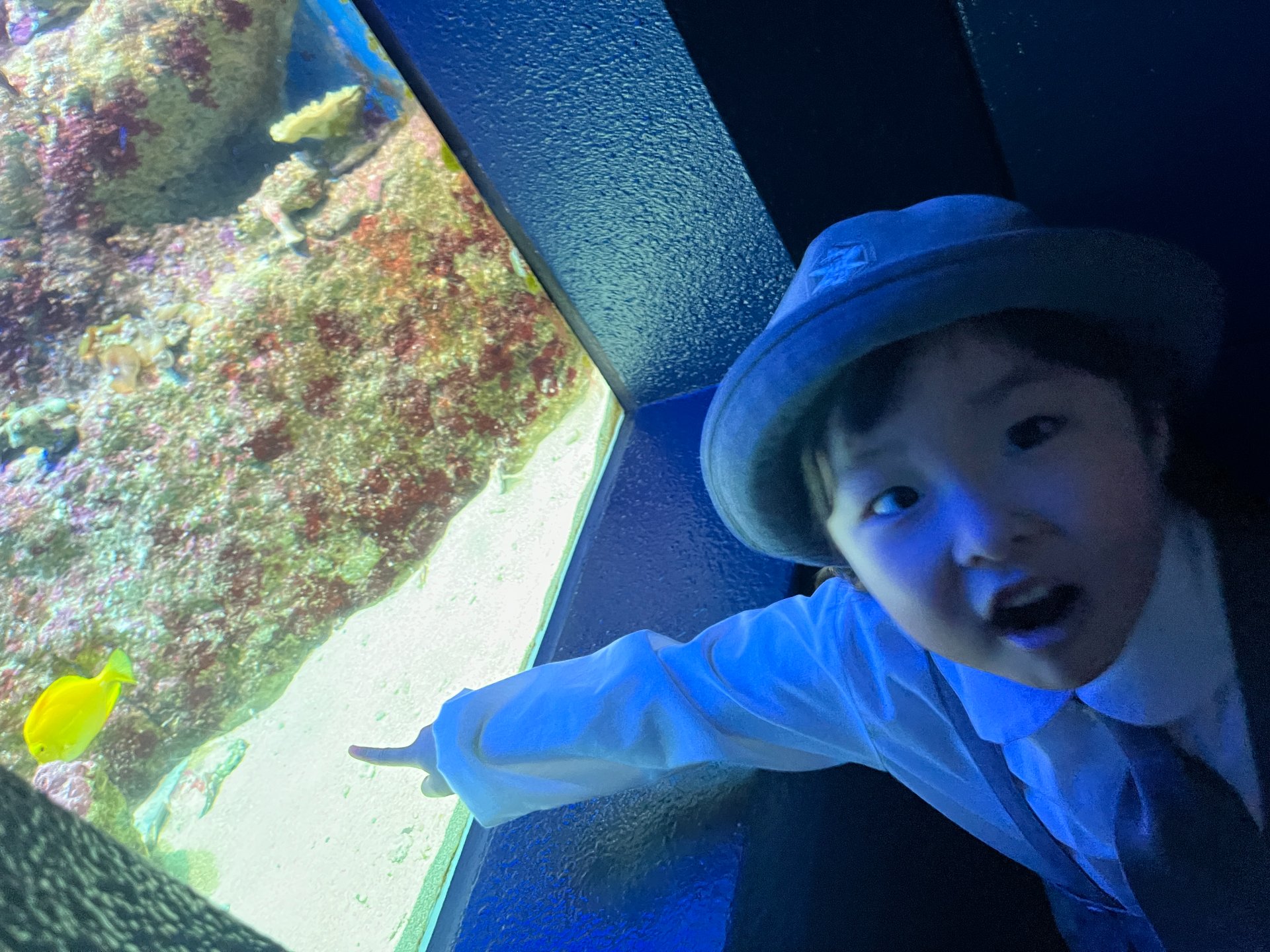 ☆水族館見学☆