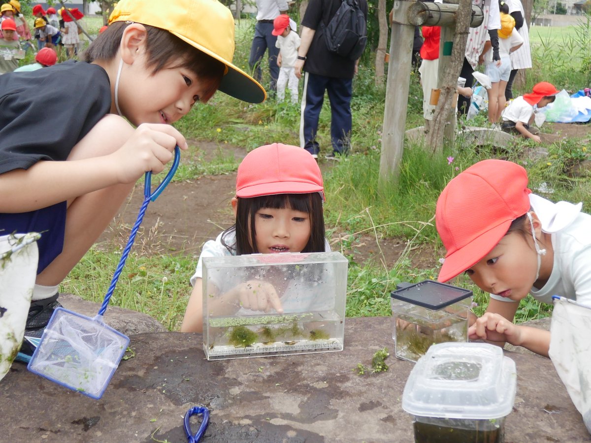 横内小1年生とビオトープで交流会～幼保小連携架け橋プログラム～